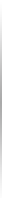 Tampa Florida Insurance